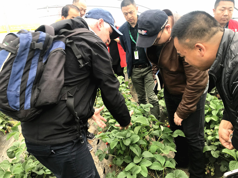 研發三部圖二780