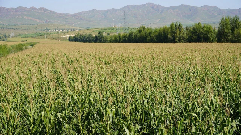 微信圖片02_副本